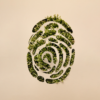 Impressão digital formada por plantas verdes, simbolizando a identidade sustentável e o compromisso da Orit com o planeta